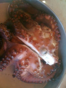 mantıcıda mantı yapımı 117